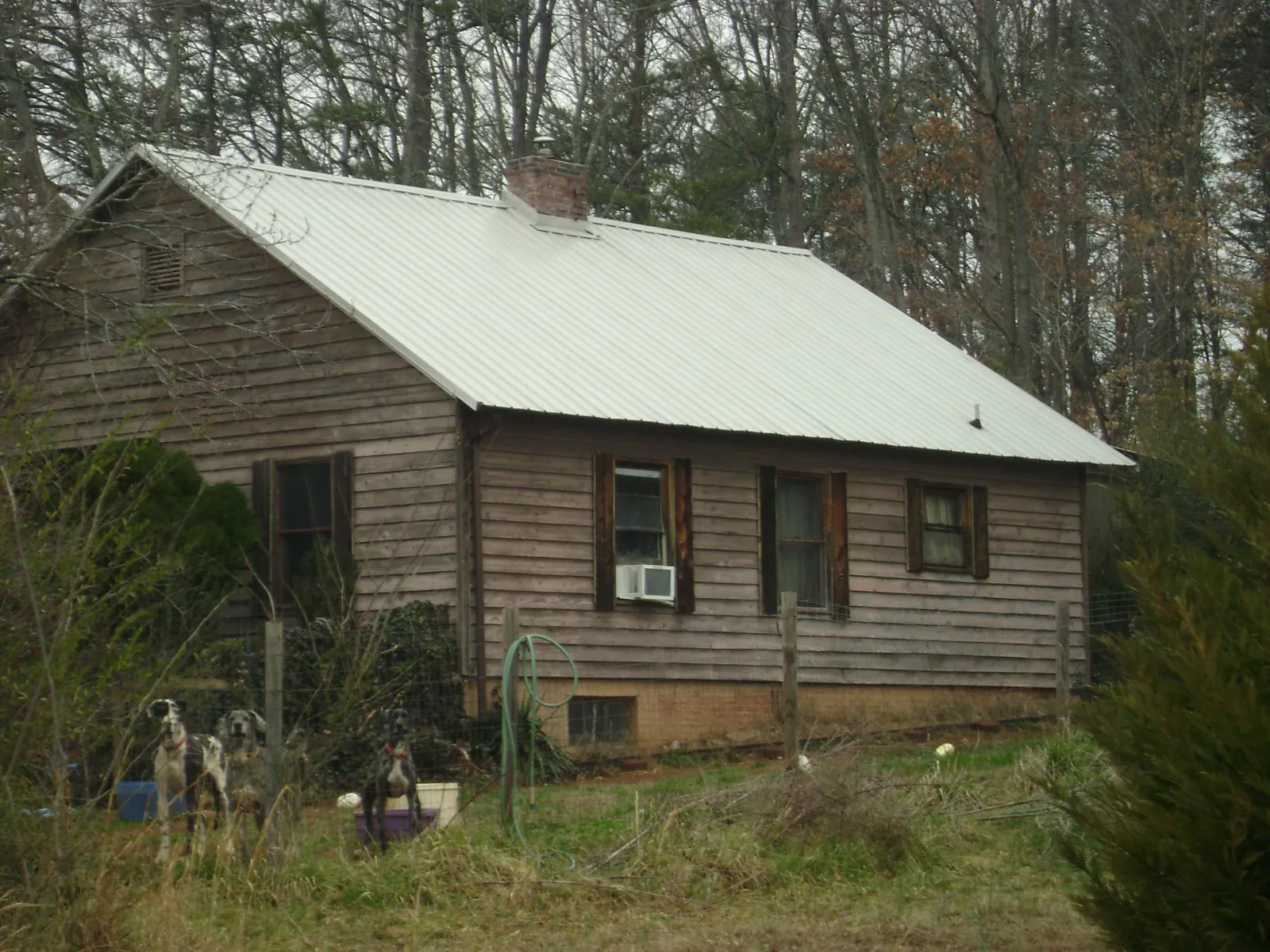White metal roof on an old wood sided farmhouse, from a Asphalt Shingle Roof Repair job in Glen Head